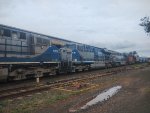 RUMO 2558